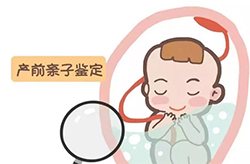 广元胎儿亲子鉴定机构结果需要多久，广元孕期亲子鉴定程序是什么