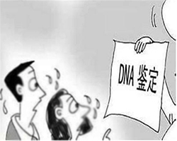 广元毛发可以做DNA亲子鉴定吗，个人亲子鉴定多少钱一次